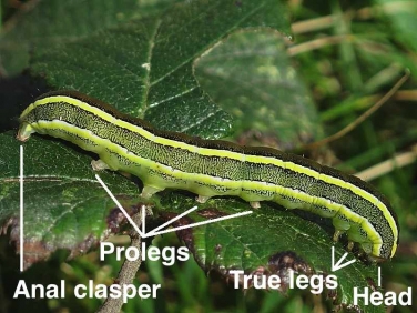 Caterpillar parts