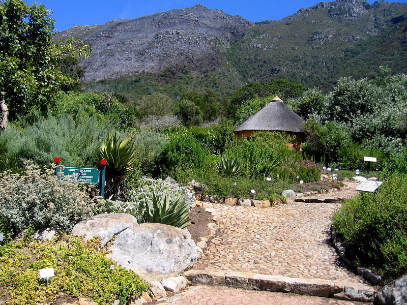 Lawns with sculptures, Kirstenbosch National Botanical Gardens, Cape Town, South Africa © Claire Ogden