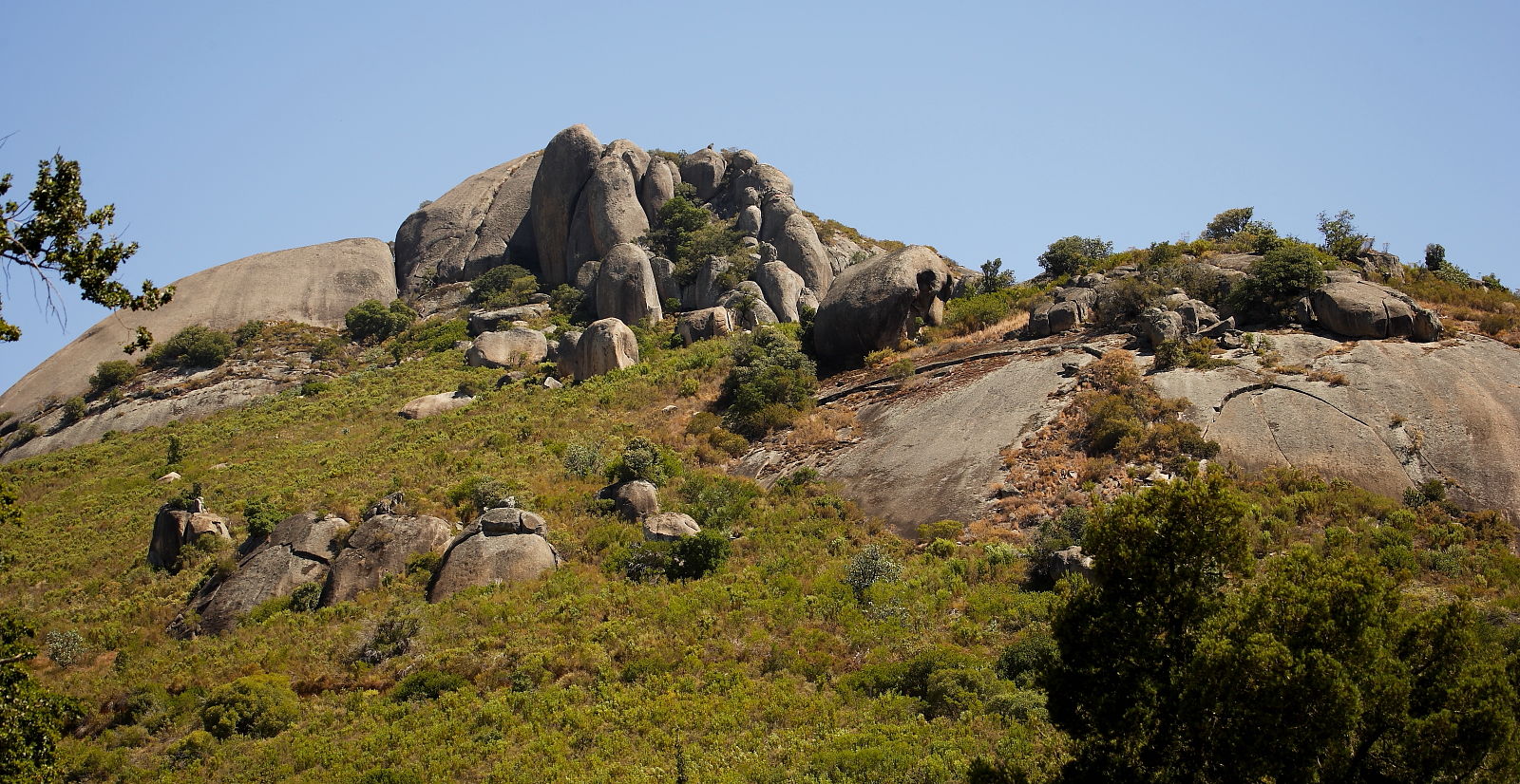 Paarl Mountain Nature Reserve, near Cape Town, South Africa © 2006 Steve Ogden
