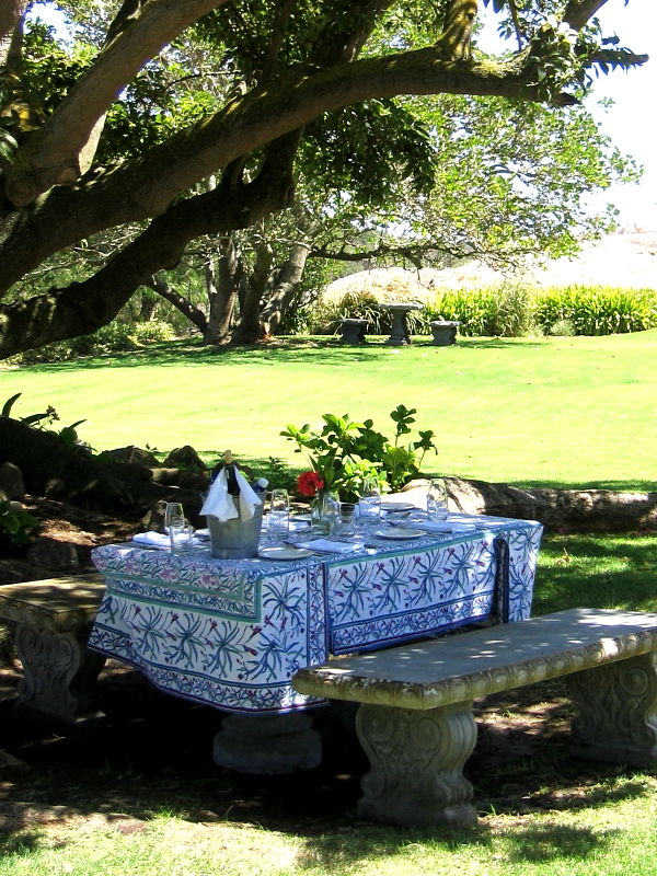 Picnic table at Groote Post winery © Claire Ogden