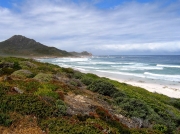 Cape of Good Hope Reserve - looking over fynbos and beaches towards Cape Point