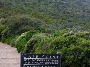 Cape Point  lighthouse path, Cape of Good Hope, South Africa