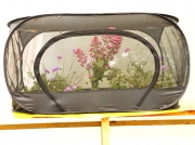 Isolated butterfly and moth breeding cage