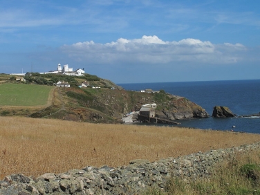 Lizard Point