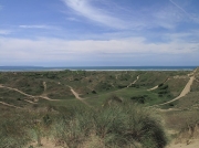 Braunton Burrows