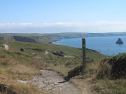 Glebe Cliff, Tintagel