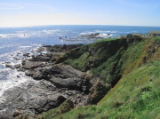 Lizard Point