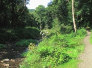 Valency Valley