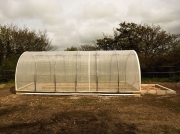 CLBG breeding house with netting on