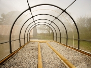 CLBG inside of breeding house