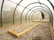 CLBG inside of breeding house