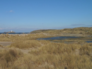 St Gothian Sands NR, Cornwall