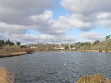 Swanpool LNR