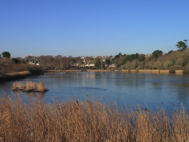Swanpool LNR