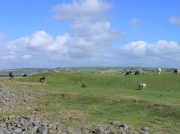 Northam Burrows