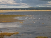 Northam Burrows