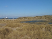St Gothian Sands NR, Cornwall