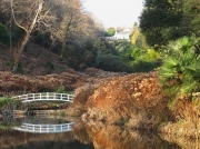 Trebah Gardens, Cornwall