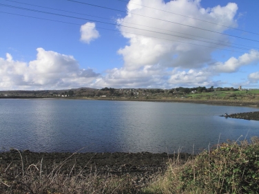 Carnsew Basin, Hayle in November
