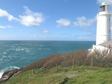 Trevose Head seawatching