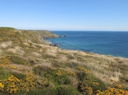 Kennack Sands eastern cliff, The Lizard.Cornwall
