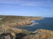 Porthgwarra sea watching