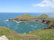 The Rumps