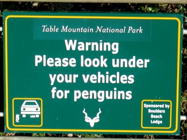 African Penguin warning sign at Boulders Beach, Simon's Town, South Africa