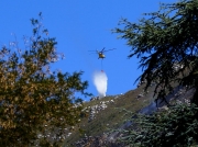 fire-fighting-with-helecopters-on-the-slopes-of-table-mountain-cape-town-south-africa-3889