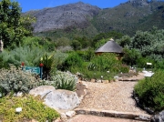 Landscaped garden, Kirstenbosch National Botanical Gardens, Cape Town, South Africa