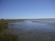 Langebaan Lagoon, West Coast National Park, South Africa at low tide