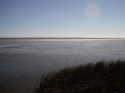Low Water from the Geelbek Hide, Langebaan Lagoon, West Coast National Park, South Africa