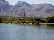 Paarl Bird Sanctuary near Cape Town, South Africa