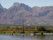 Paarl Bird Sanctuary near Cape Town, South Africa