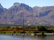 Paarl Bird Sanctuary near Cape Town, South Africa
