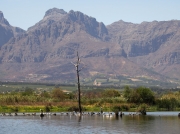Paarl Bird Sanctuary near Cape Town, South Africa