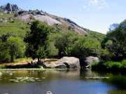 Pool in Paarl Mountain Nature Reserve, near Cape Town, South Africa