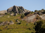 Paarl Mountain Nature Reserve, near Cape Town, South Africa