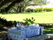 Picnic table at Groote Post winery