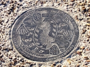 Fish plaque set in Simon's Town harbour walk way.