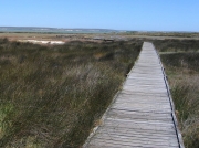 Geelbek Bird Hide walkway, Langebaan Lagoon, West Coast National Park, South Africa