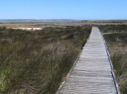 Geelbek Bird Hide walkway, Langebaan Lagoon, West Coast National Park, South Africa